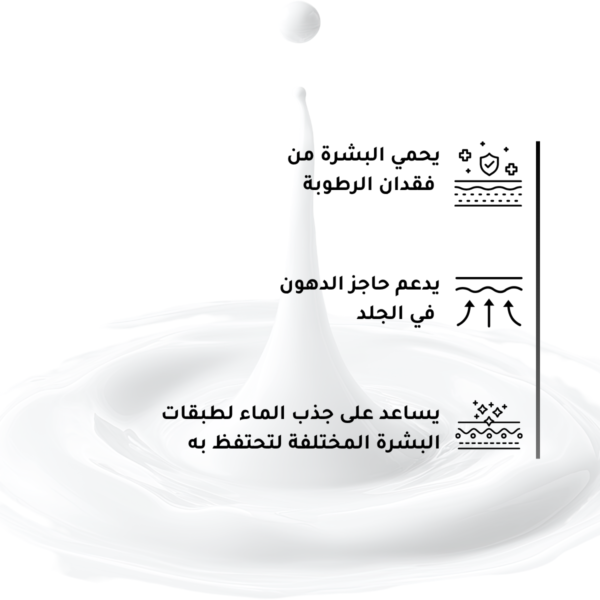 2-1 Natural Moisturizing Factors + HA