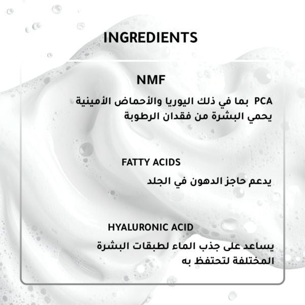 3-1 Natural Moisturizing Factors + HA