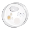 rdn-the-bright-set-swatch.webp The Bright Set